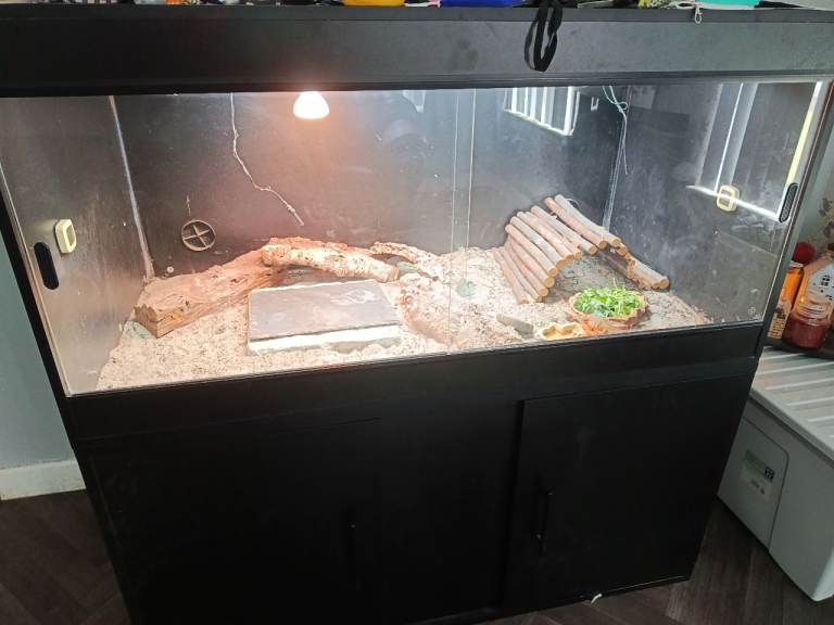 4x2x2 reptile vivarium and cabinet