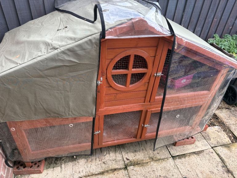 Guinea pig hutch