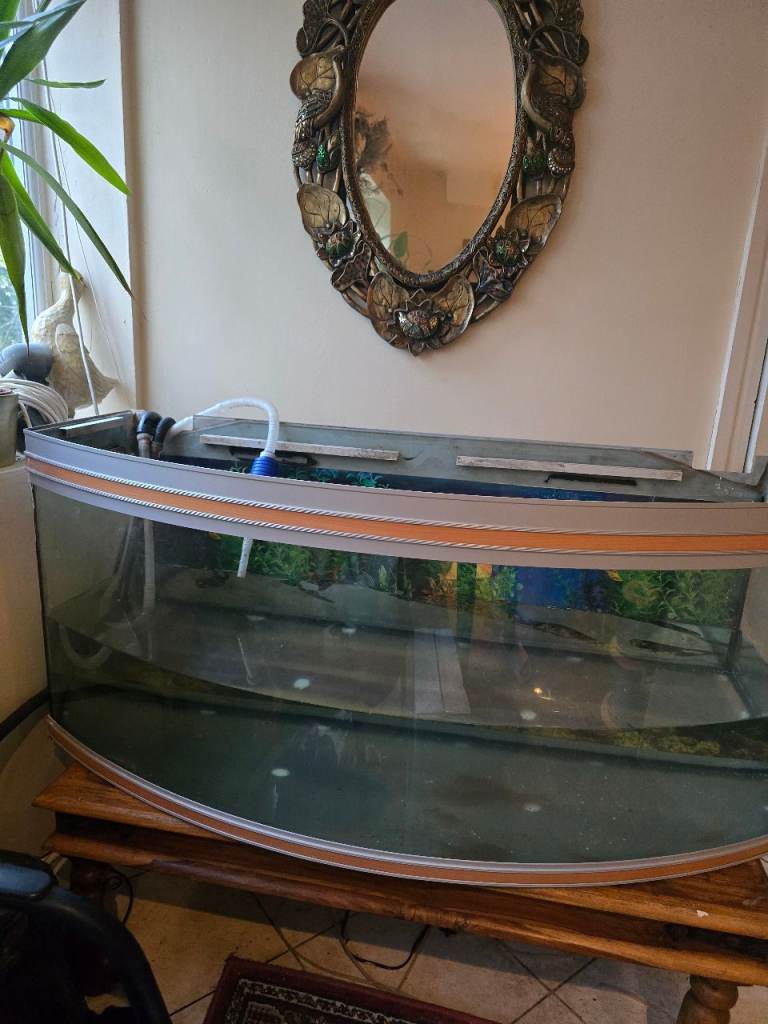 Large Bow Front Fish Tank Aquarium Only