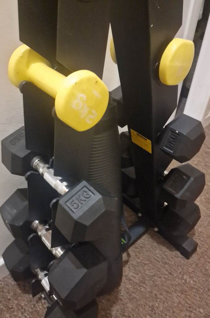 Pro fitness dumbbell weights and stand