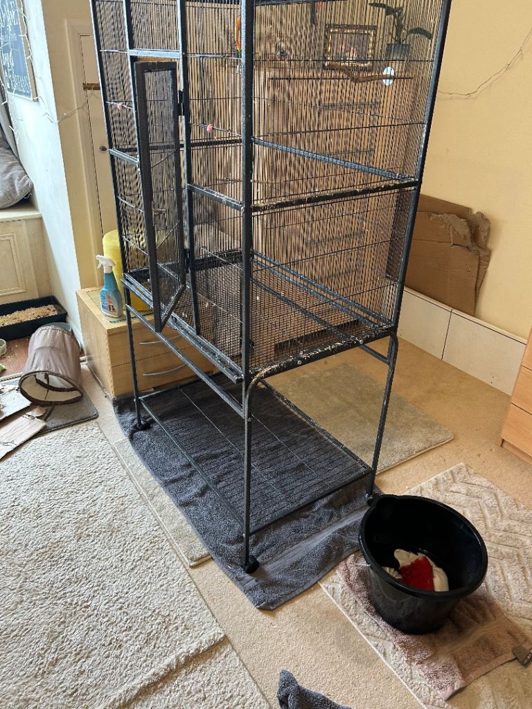 Large bird cage