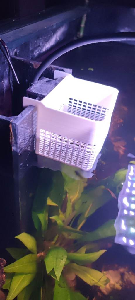 Hang on aquarium breeder/isolation box 