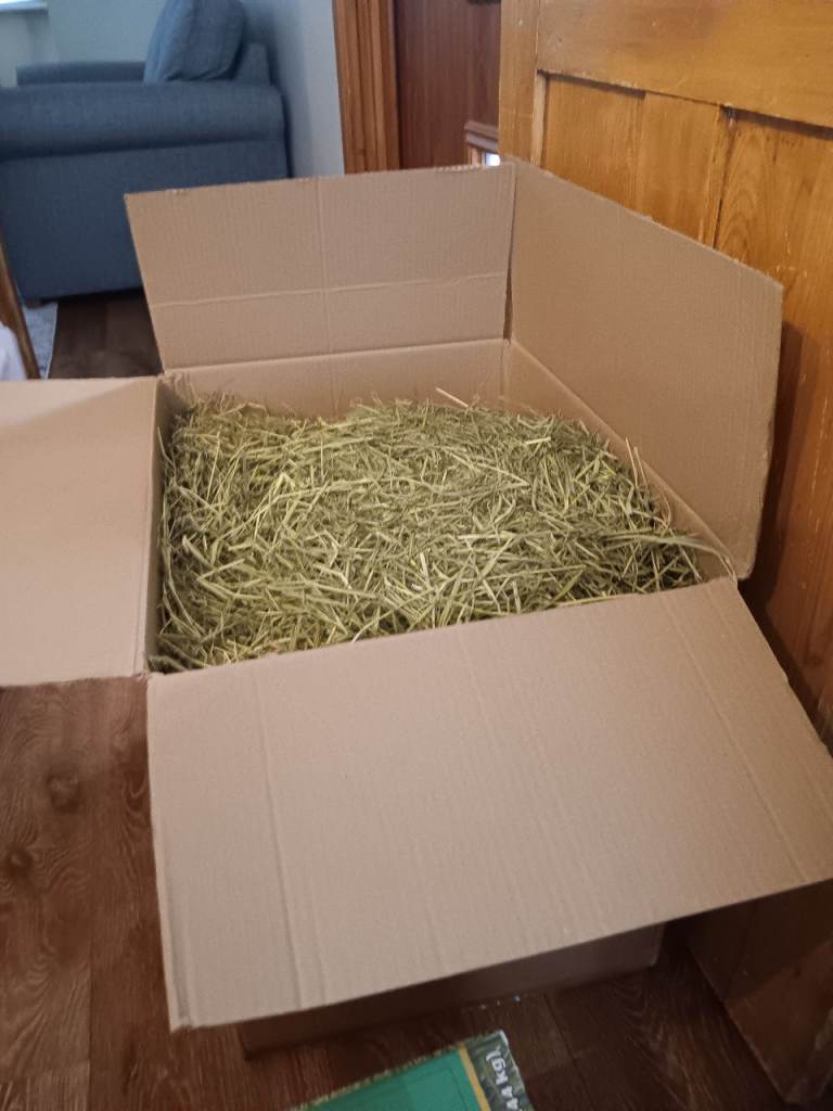Timothy hay - perfect for rabbits and guinea pigs STILL AVAILABLE 