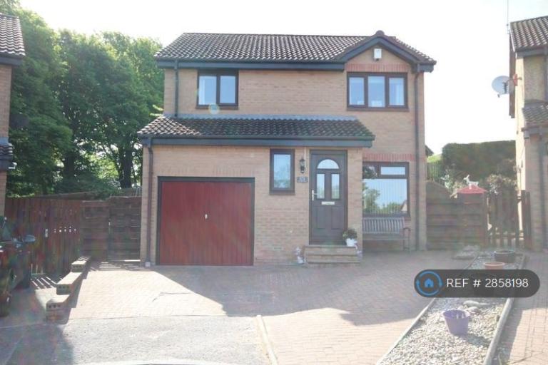 3 bedroom house in Braeside Park, Mid Calder, Livingston, EH53 (3 bed) (#2858198)
