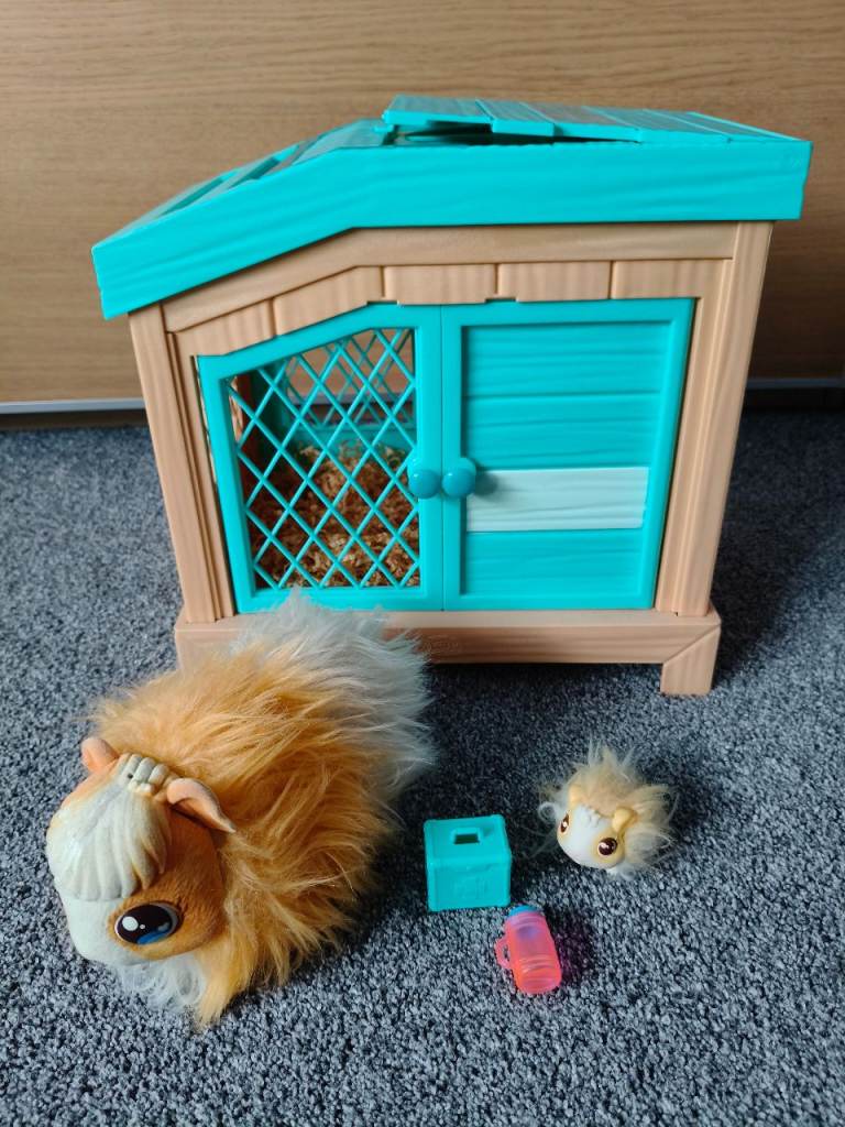 Little live pets
