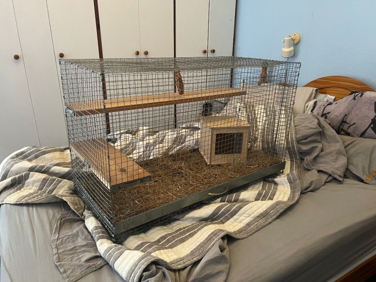 Cage for small animals 