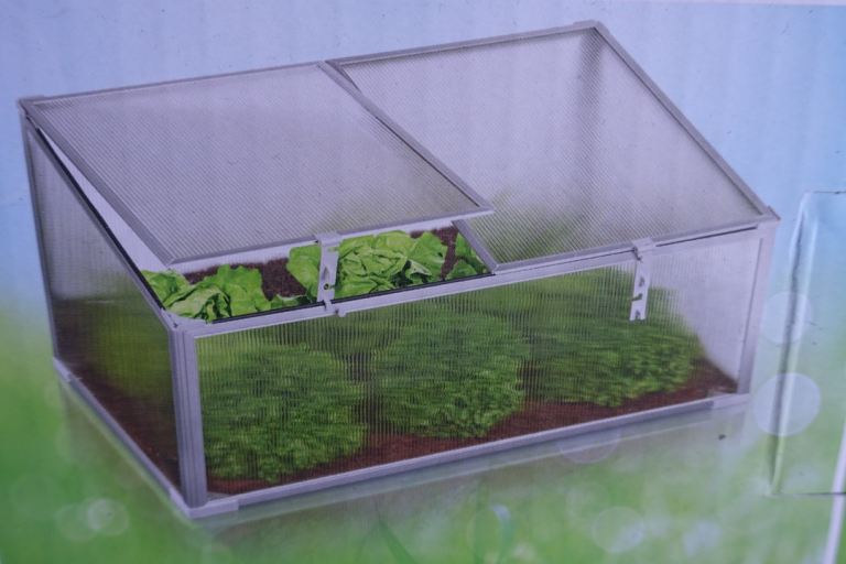COLD FRAME FOR FRUIT, VEGETABLES & SEEDLINGS