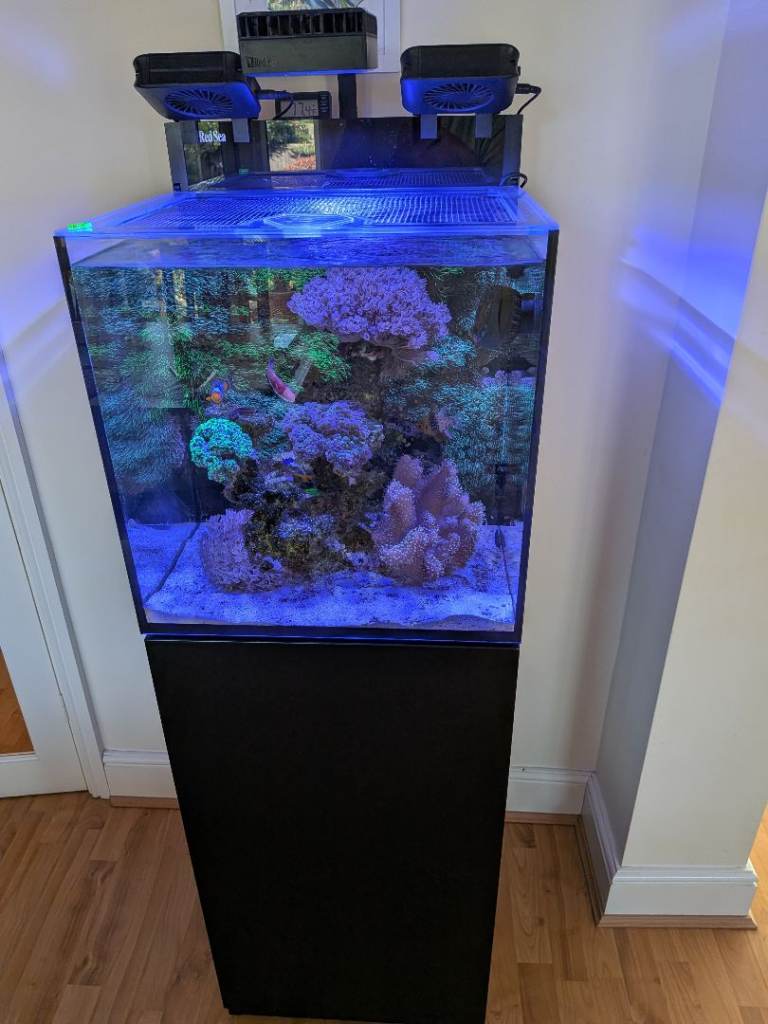 Aquarium - Red Sea Max Nano 75 Litres