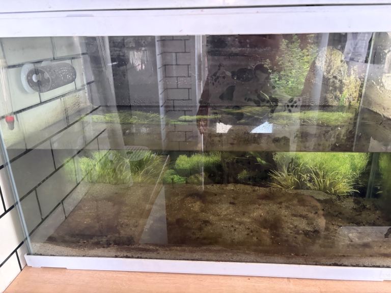Tropical fish tank 100l
