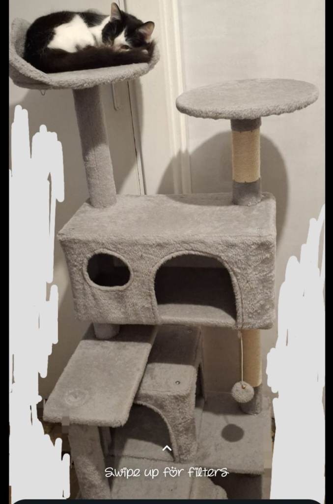 Cat tree