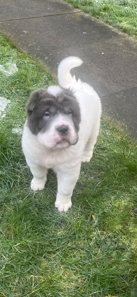 Ready now !!!! 1 girl left !!! 