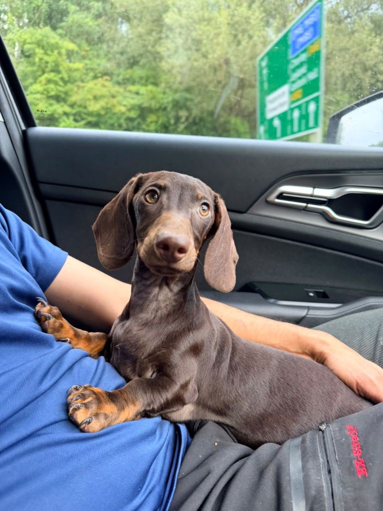 Adorable boy 