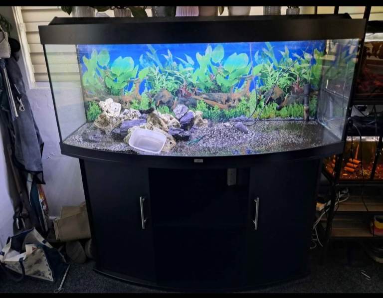 5ft fish tank with cabinet 