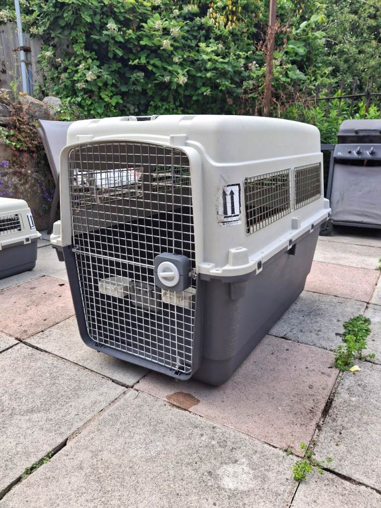 Premium Dog Crate