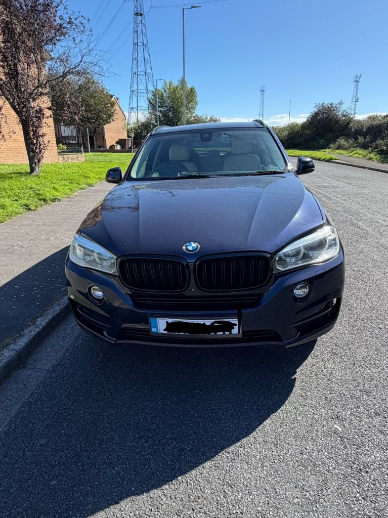 BMW, X5, Estate, 2014, Other, 2993 (cc), 5 doors