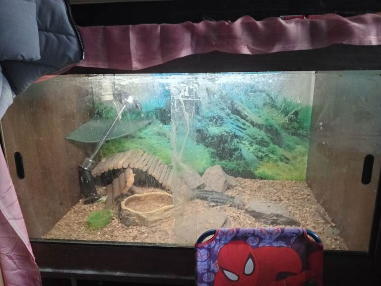 Reptile tank 