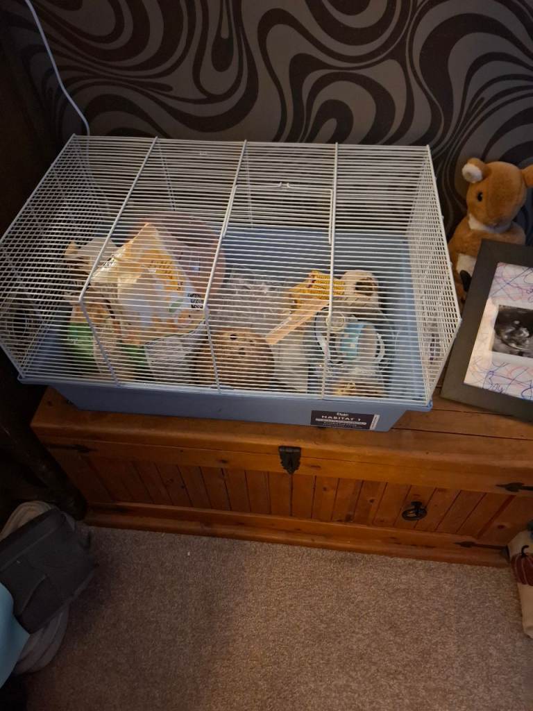 Cage and accessories 