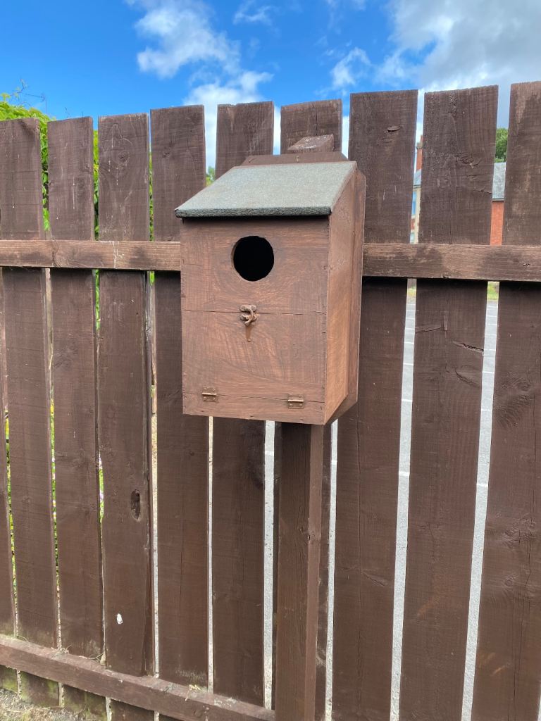 Owl nest box 