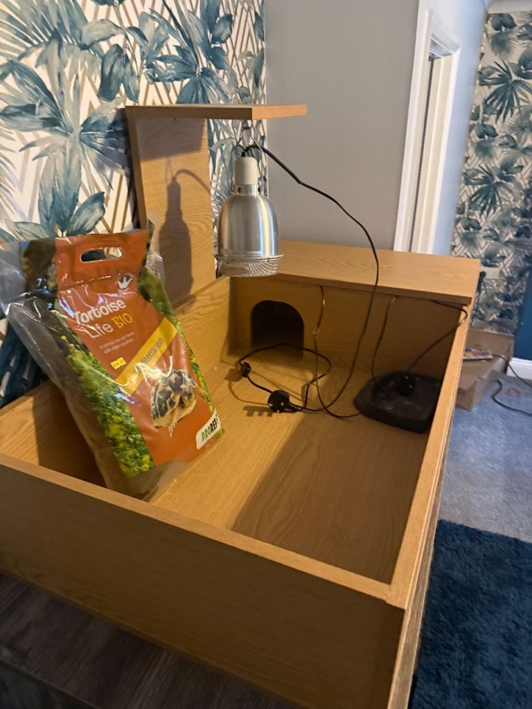 Large Tortoise table set up 