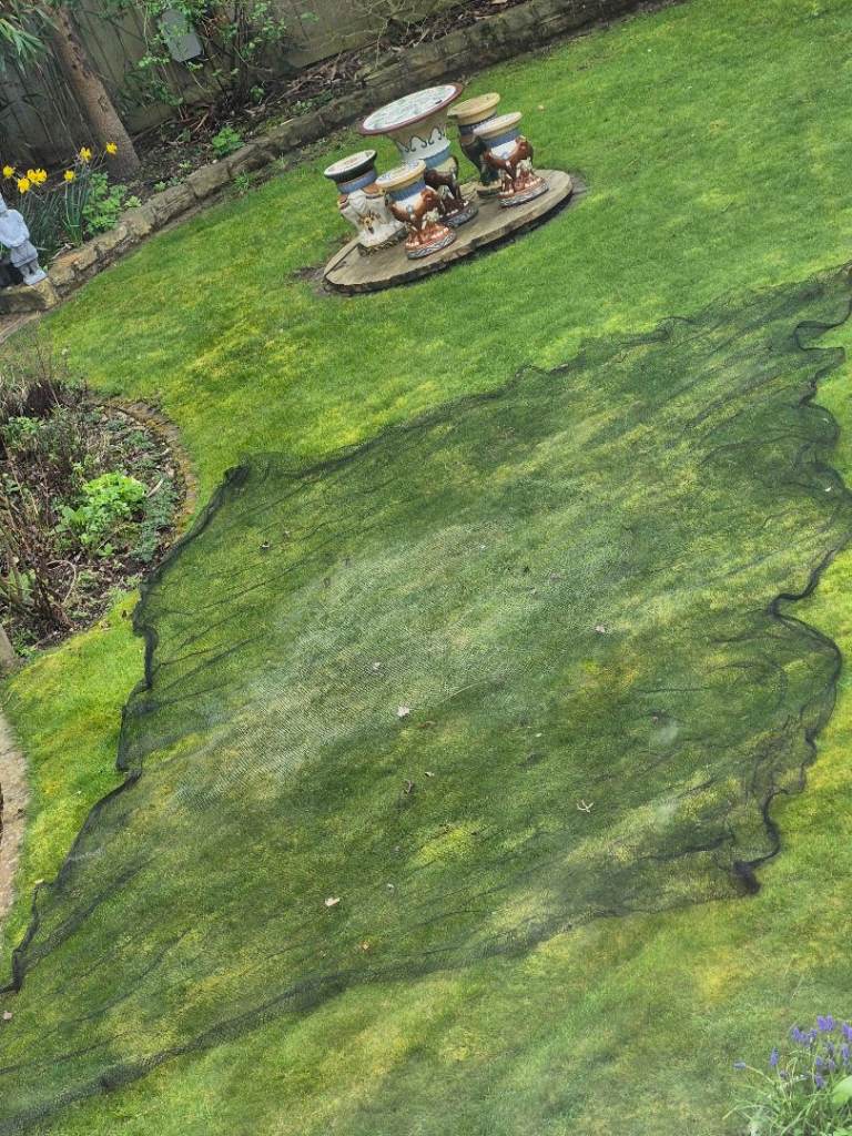 Pond cover net