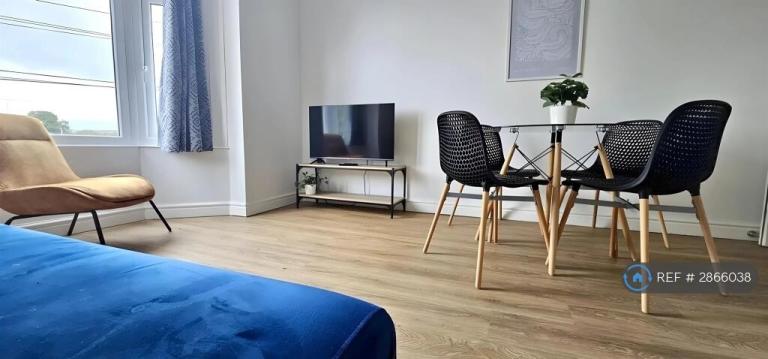 1 bedroom flat in Newport Road, Cardiff, CF24 (1 bed) (#2866038)