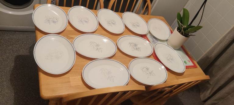 11 vintage PYREX white floral oval steak plates 