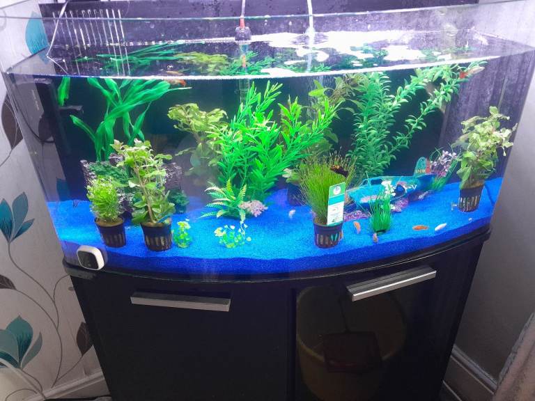 Fish Tank with Cabinet 