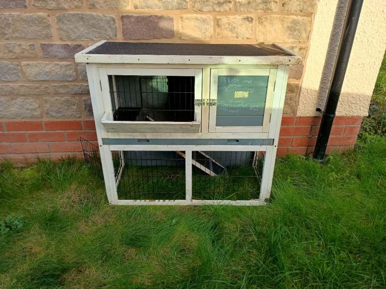 Guinea Pig Hutch