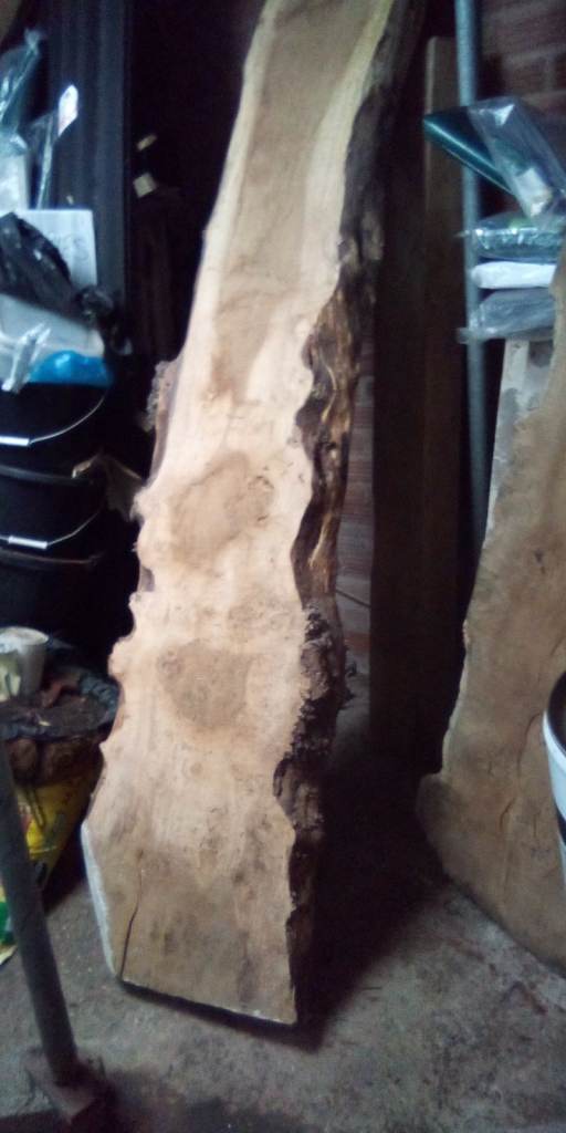 OAK SLAB, Burr Character, 238 x 38/53 x 8cm Low Moisure