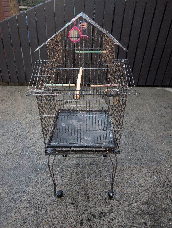 Large bird cage