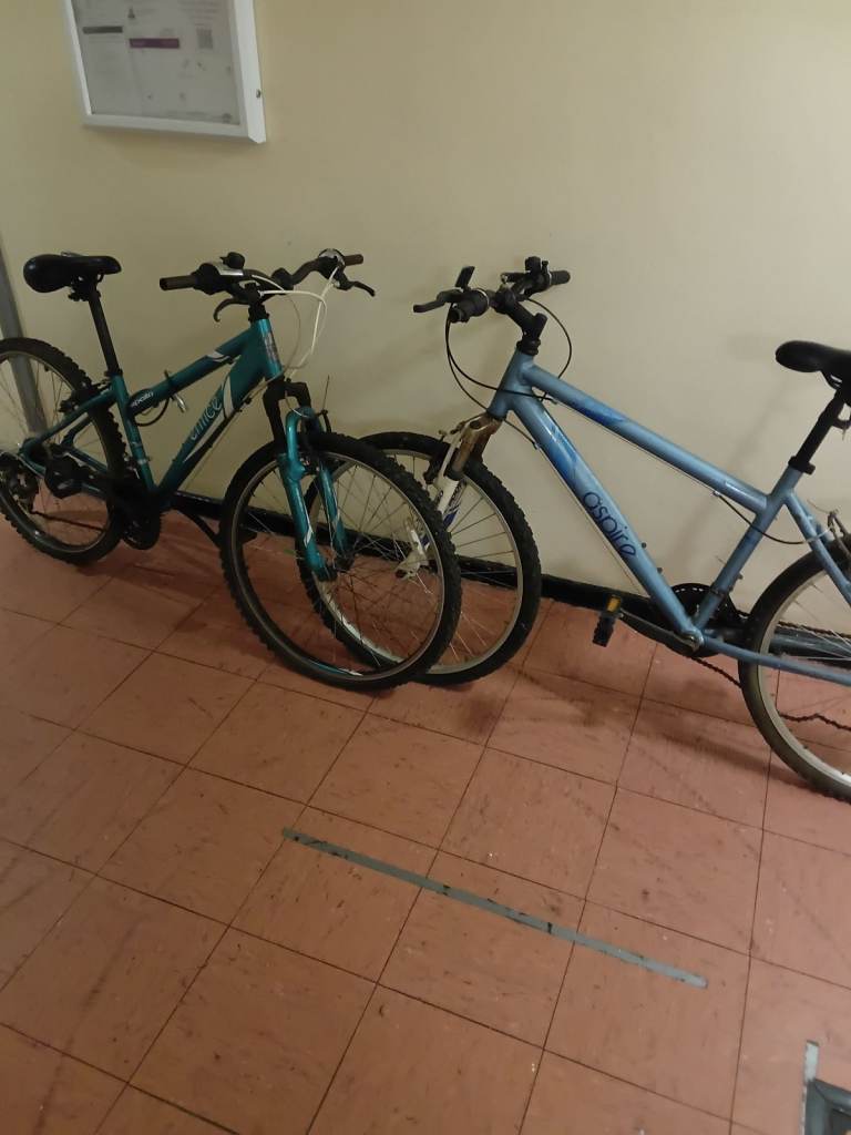 Pair of Ladies Mountain Bikes – Good Condition