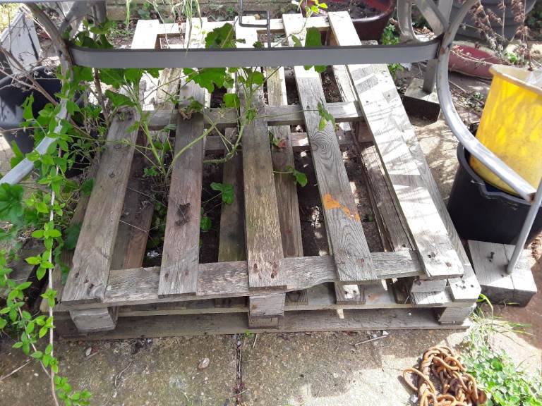 Wanted Wooden Pallets