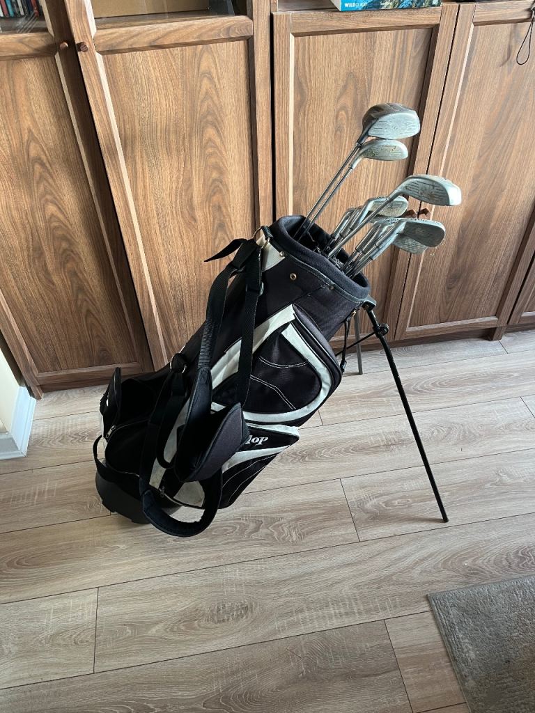 Golf clubs (irons and drivers) and stand bag