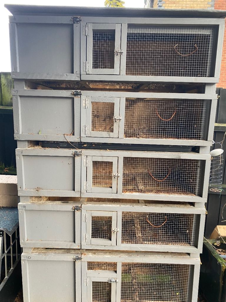 Quail cage ,5 stack quail breeding cage 