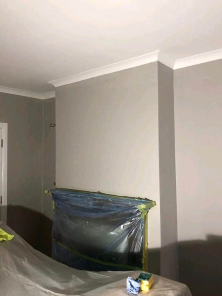 Professional painter and decorator