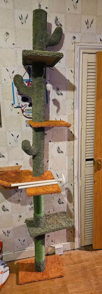 Cactus cat tree 