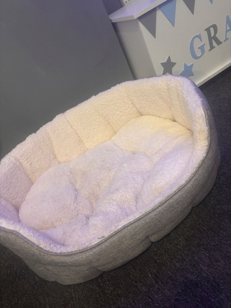 Medium grey dog bed