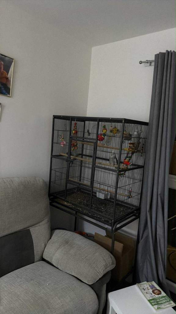 Bird cage 