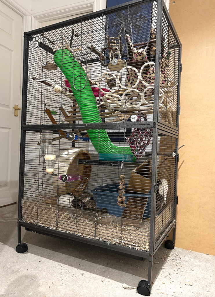 Cozy pet double rat cage 