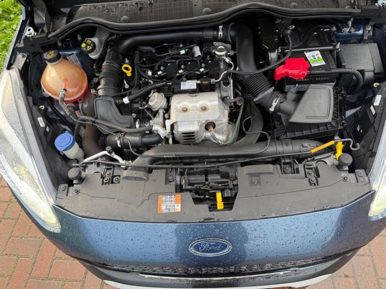 2019 Ford Fiesta 1.0T EcoBoost Active X Euro 6 (s/s) 5dr HATCHBACK Petrol Manual