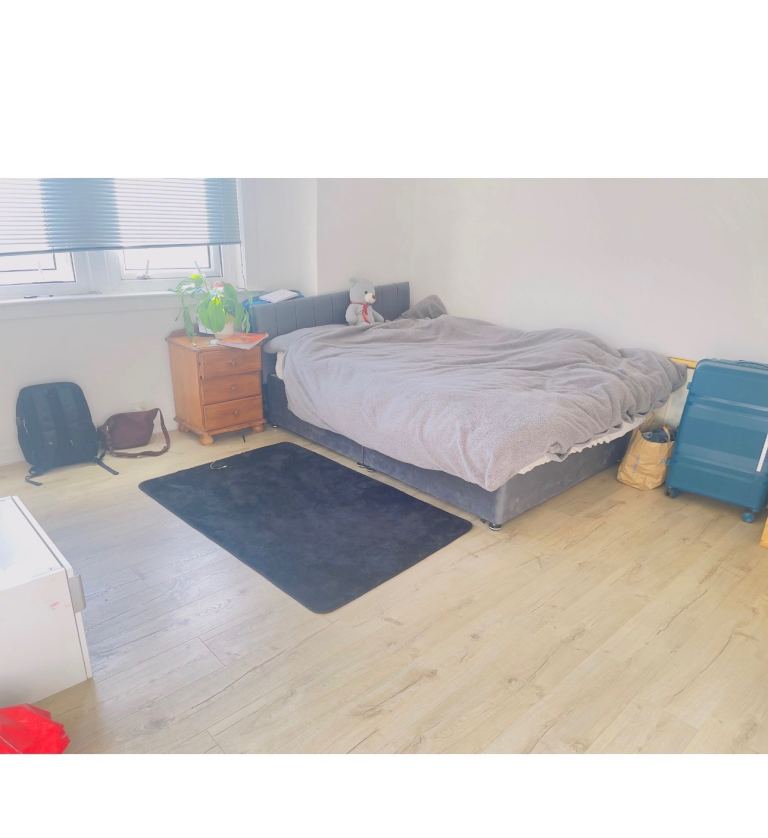 furnished flat non smoker pet free flat available 