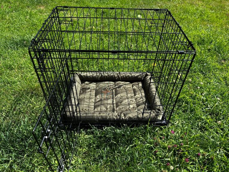 Small metal dog crate and mat 