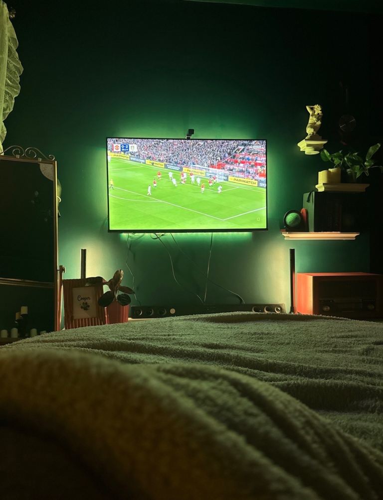 43 inch Hisense TV with Govee lights 