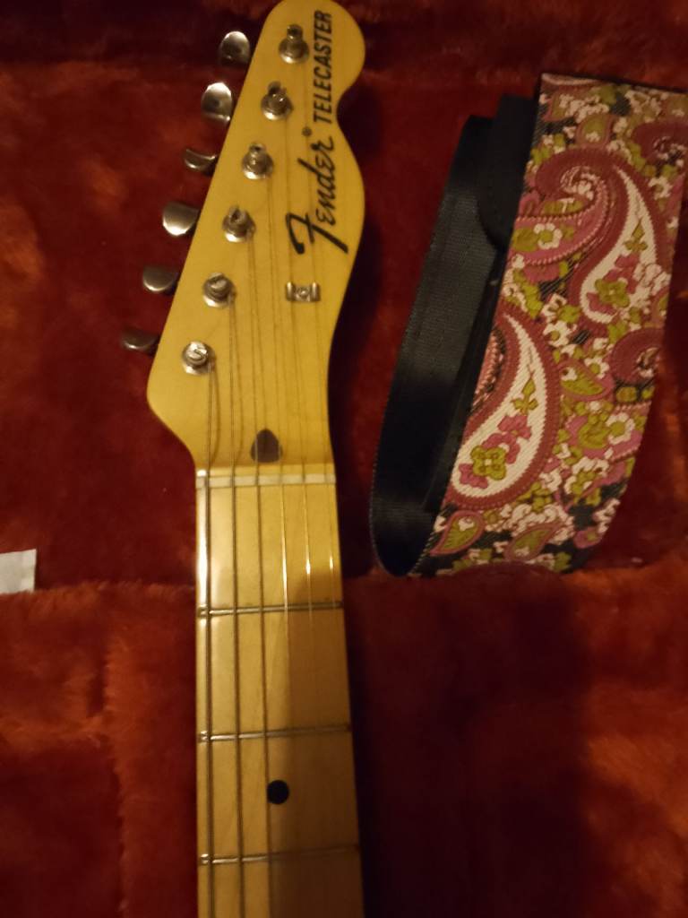 2017 paisley fender telecaster mij