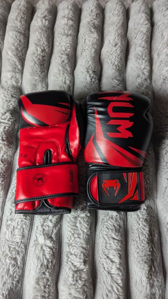 Venum 12 Oz boxing gloves