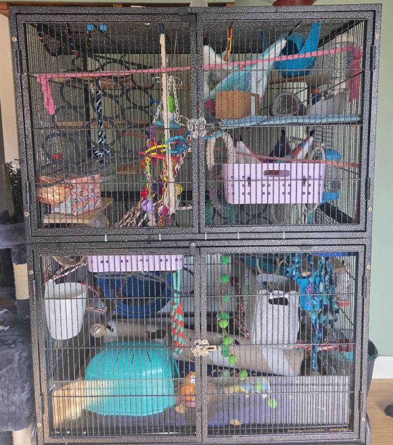Large rat cage