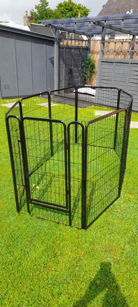 Dog Pen, Crate, Car seat.