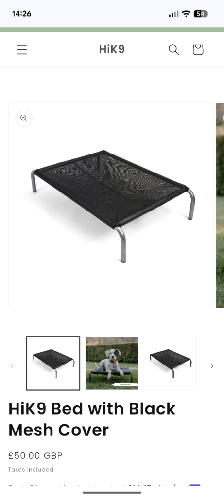 Raised dog bed 