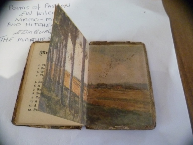 VINTAGE MINITURE BOOK POEMS OF PASSION EW  WILCOX nIMMO MAY EDINBURGH 
