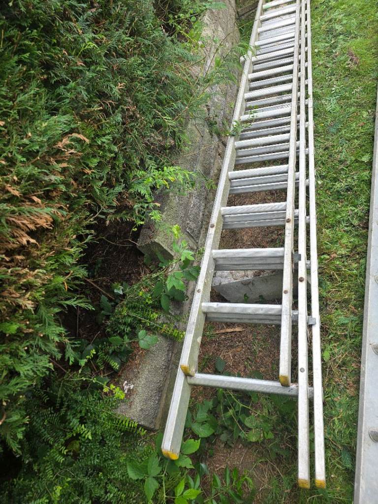 Extendable aluminium ladder